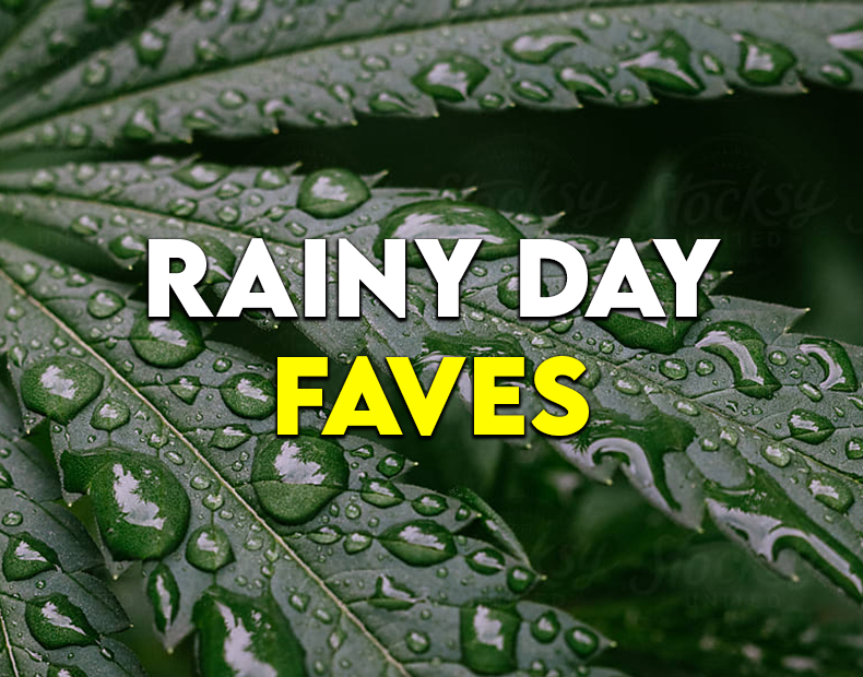 Rainy Day Faves: Turning Gloomy Days into Cozy Cannabis Moments